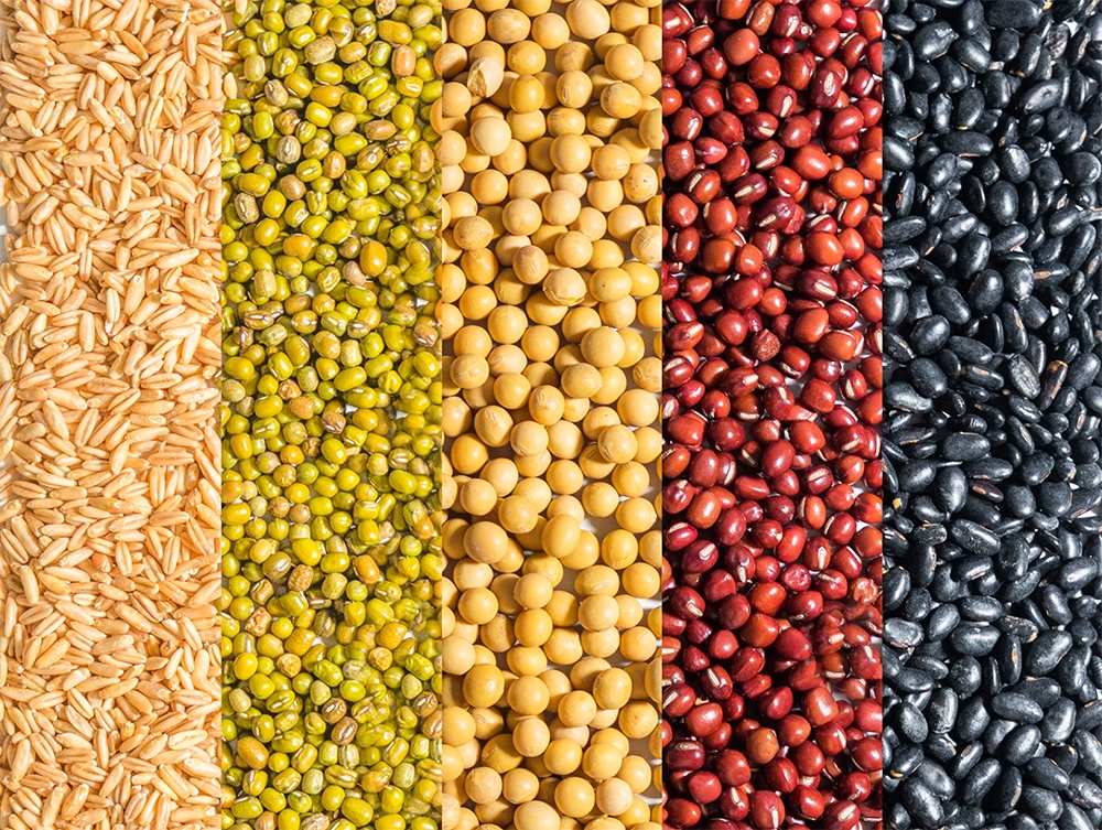 Color Sorter Machine | Specialized Color Sorting Equipment for Rice, Plastic, and Quartz Sand | Doujin Technology diannaosexuanji 14